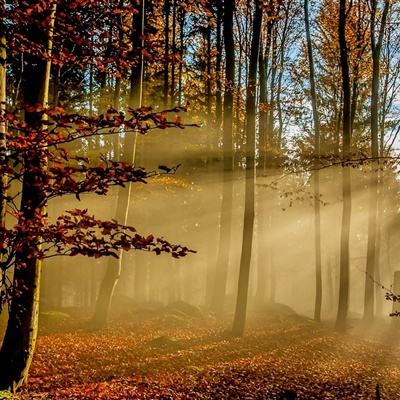 爱游戏com下载手机版