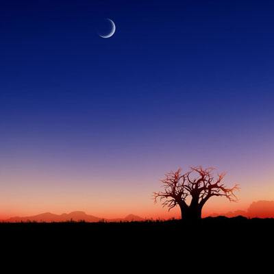 丰禾棋牌下载手机版