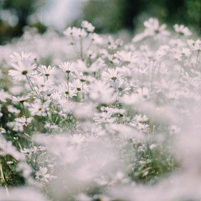 九游会演示说明截图