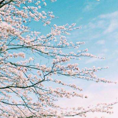 博鱼网页版官网登录