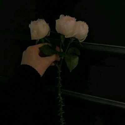 开元88ky游戏大厅